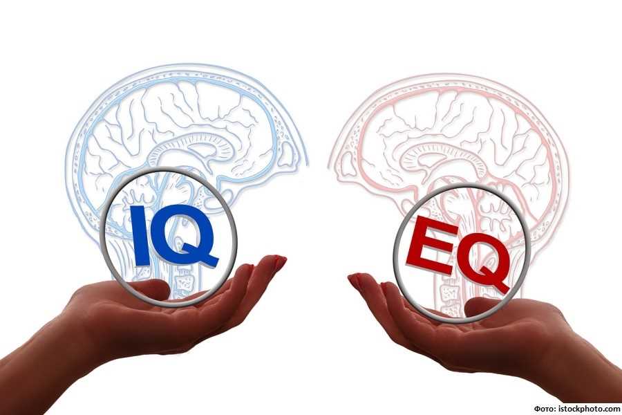 Влияние эмоционального интеллекта на когнитивные способности