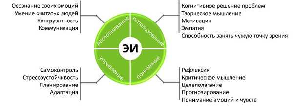 Роль эмоционального интеллекта в развитии специалистов