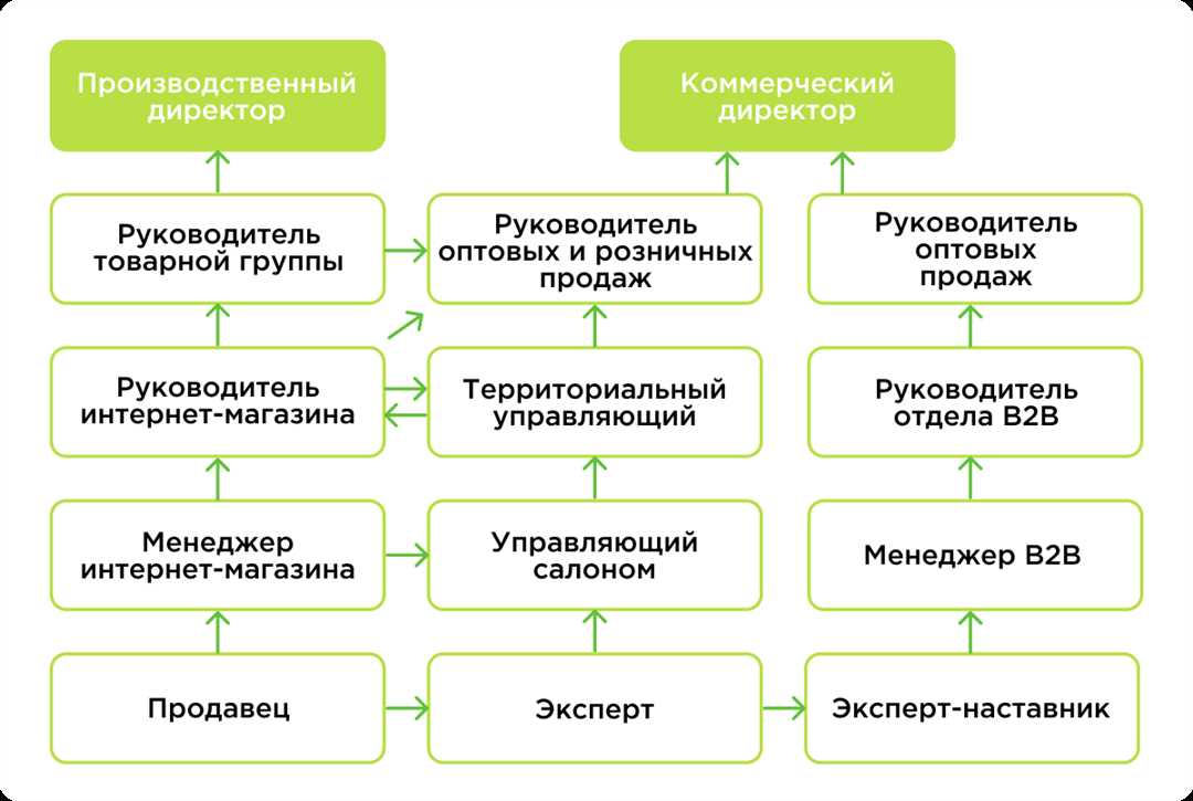 Как преуспеть в своей карьере — этапы развития профессионального потенциала