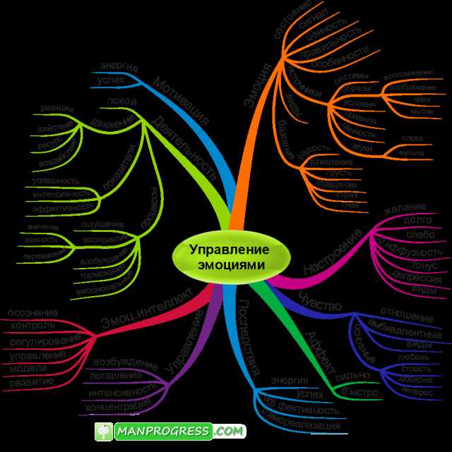 Управление эмоциями — значение эмоционального интеллекта и как справиться с гневом