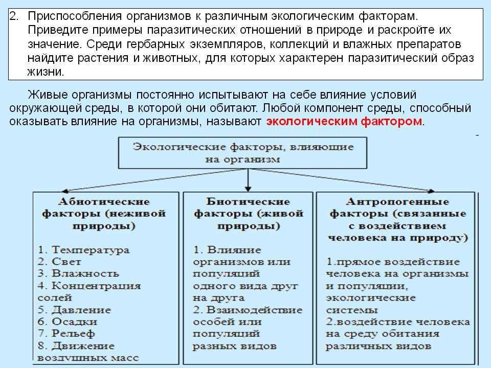 Ключевые аспекты и методы интенсивного духовного развития во время антропогенеза