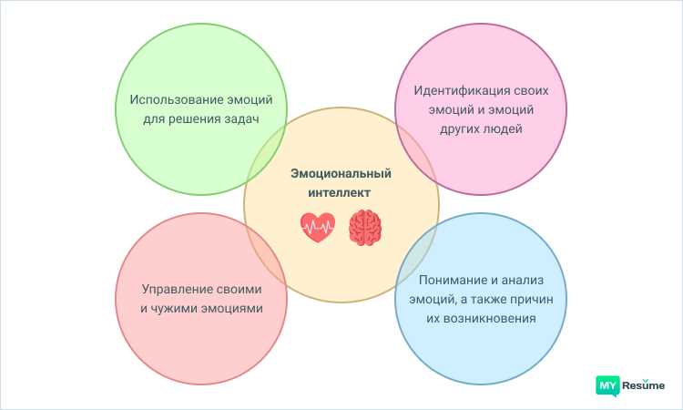 Развитие и практическое применение эмоционального интеллекта Киселевой — секрет успеха