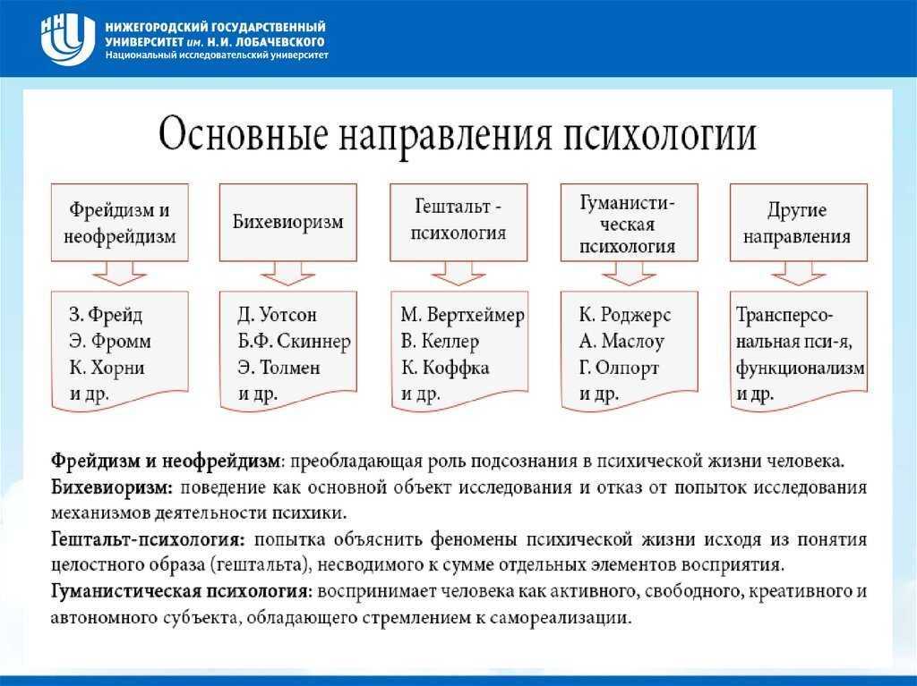 Влияние физической активности на организм