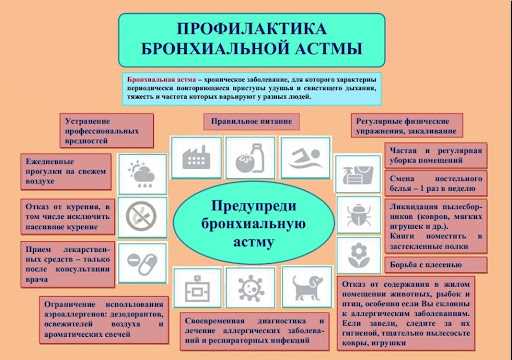 Постоянное обучение и самосовершенствование в процессе профессионального роста