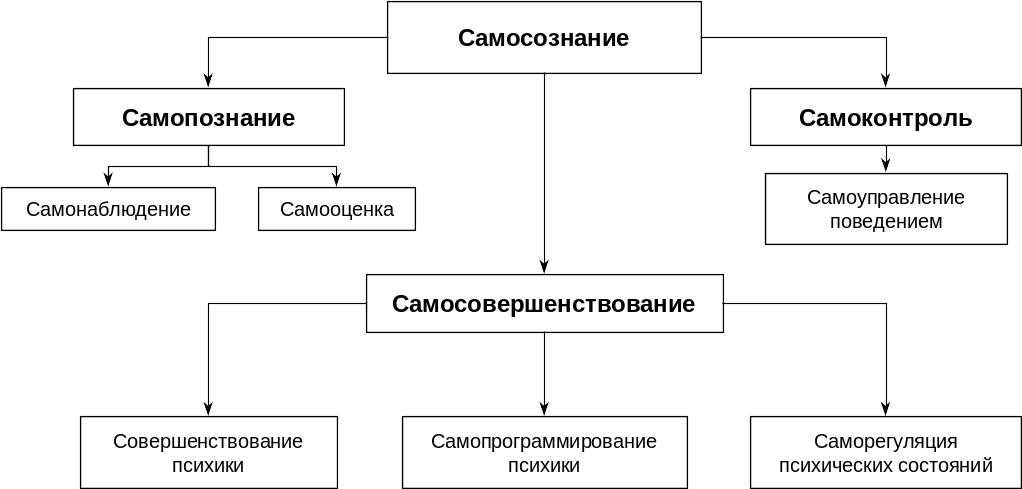 Установление целей и приоритетов в процессе самосовершенствования