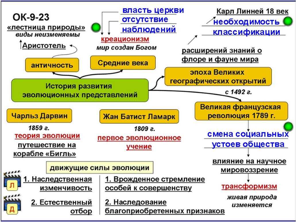 Факторы, влияющие на самосовершенствование организмов