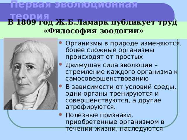 Стремление к самосовершенствованию в живых организмах — взгляд на теорию эволюции