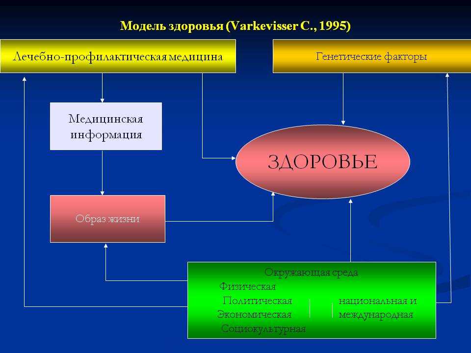 Важность физической активности в жизни студента